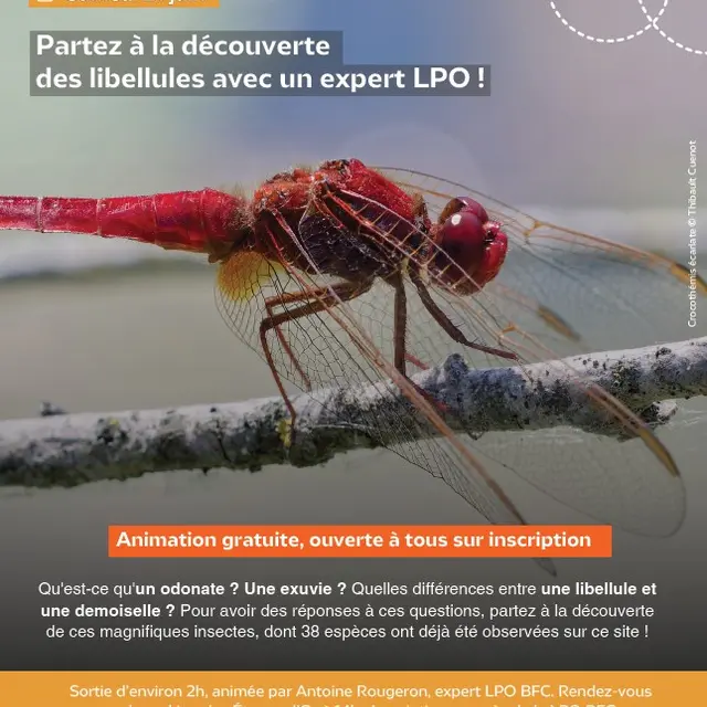 LPO aux étangs d'or