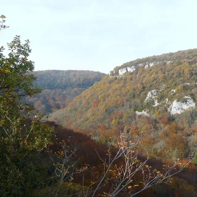 LS_29octo2009 combe lavaux_mq