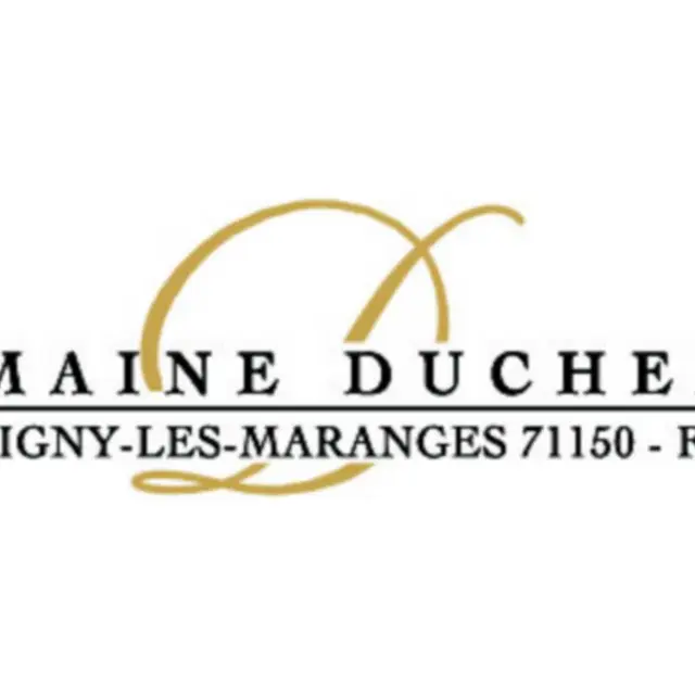 Logo Domaine Duchemin