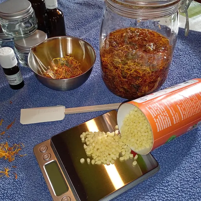 26-02-24-atelier-ganter