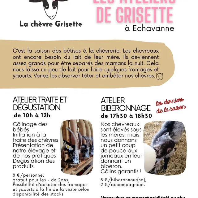 Affiches visites - Les ateliers