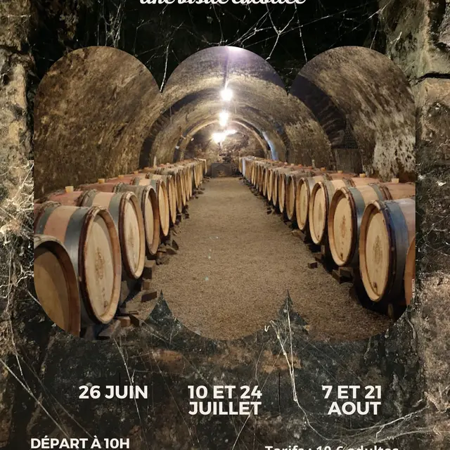 Les dessous de Meursault 2025 - 1