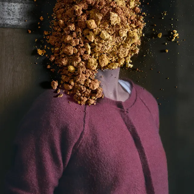 Mme Ferrugineuse-1