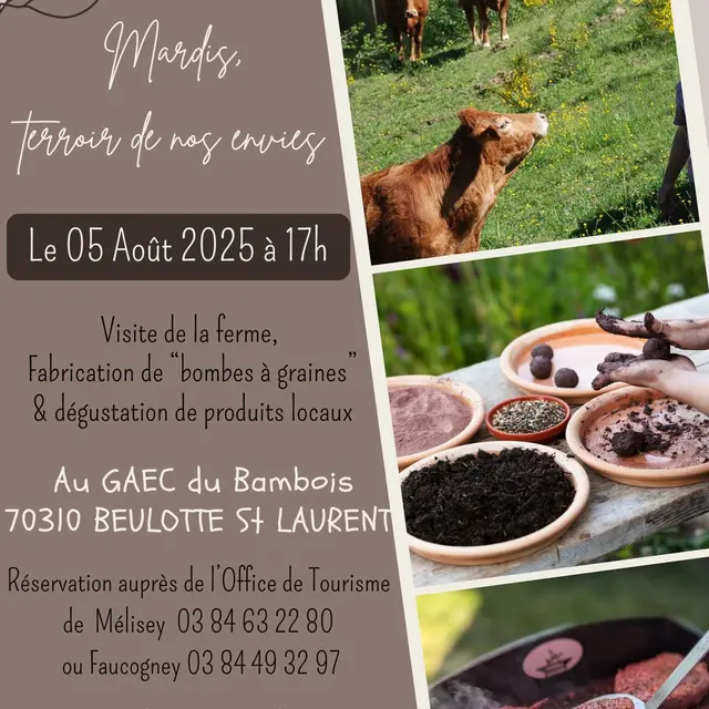 Mardi terroir 0508