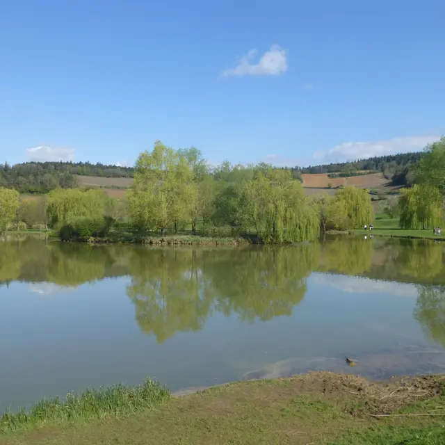 Mercurey-Etang du Pont Latin-2014