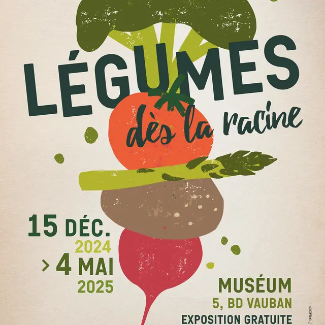 Légumes, dès la racine