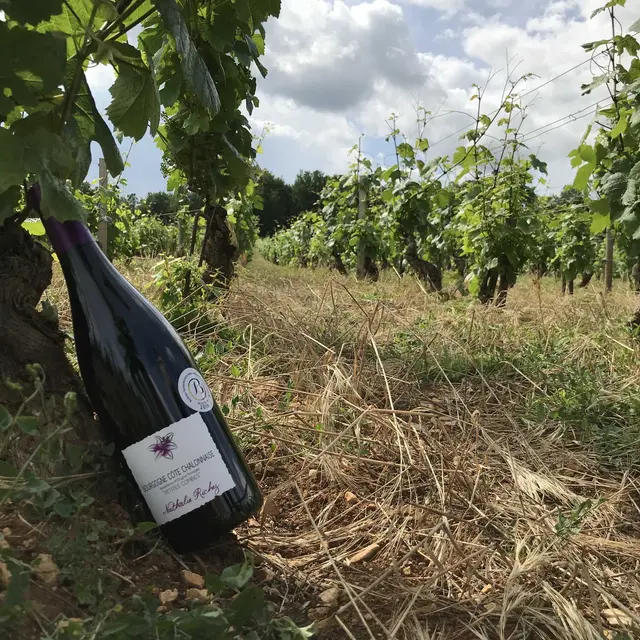 Vins du Domaine Nathalie Richez