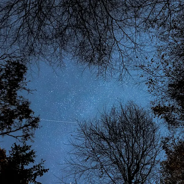 Night_Sky_(Ipernity-47666372)