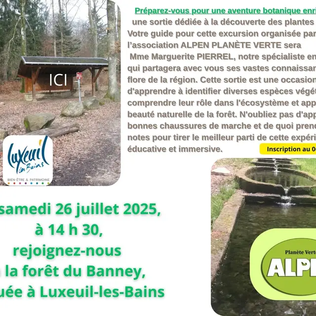Sortie plantes locales