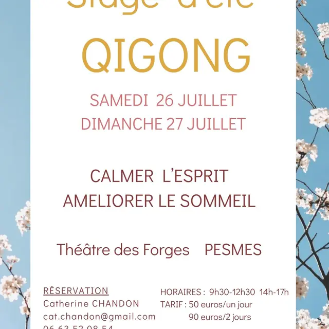 STAGE QIGONG