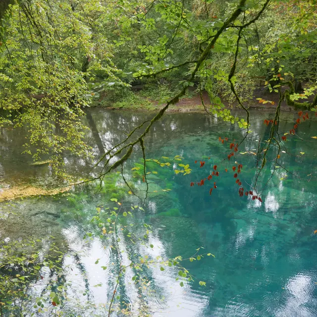 Source-du-Planey©Destination70 (3)