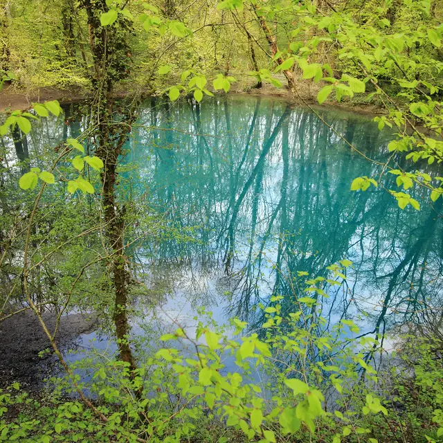 Source du Planey