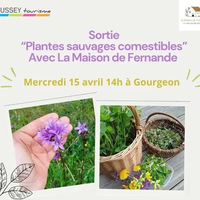 Sortie la Maison de Fernande  - 1