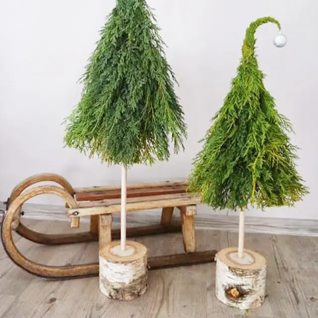 Sapins de Noël naturels