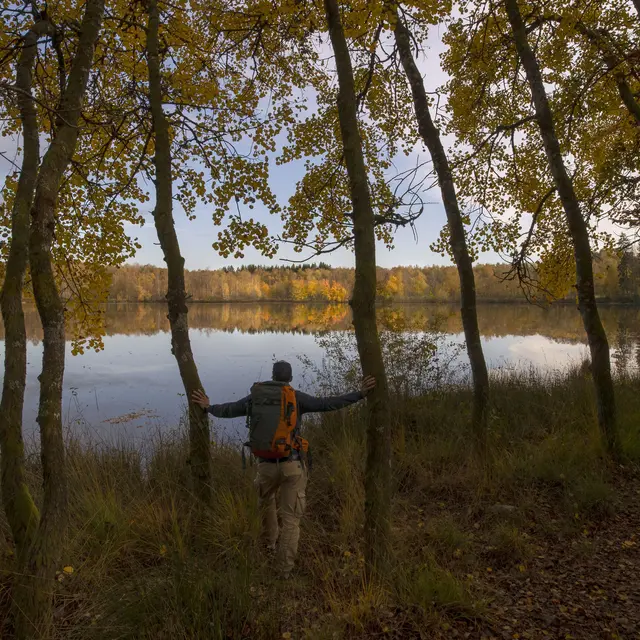 Etang de la Grande Chaussée