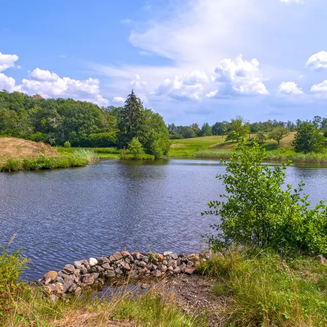 Le Plateau d'Esmoulières