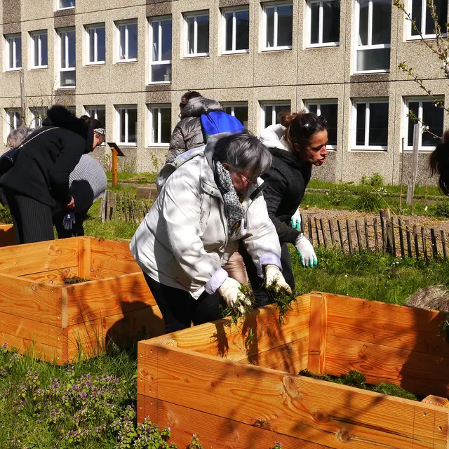48h de l'agriculture urbaine au Bois Gourmand