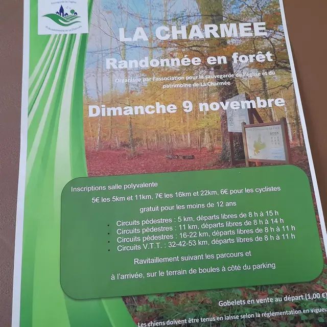 Randonnée en forêt