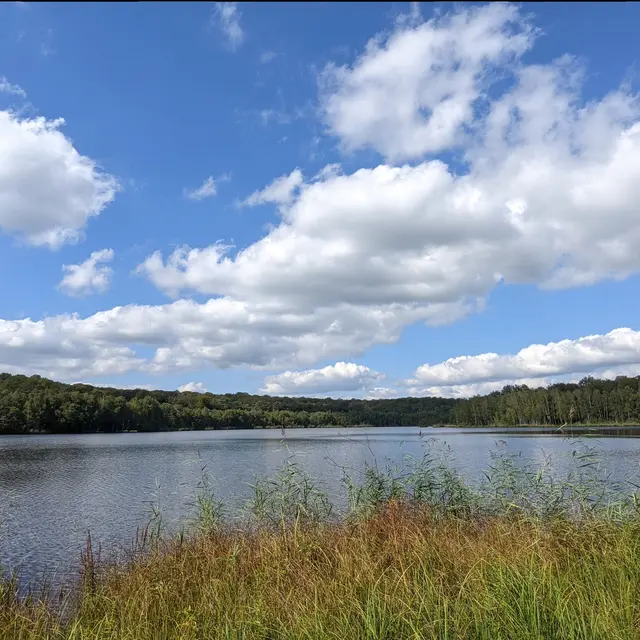 Etang du Grand Saint Maurice