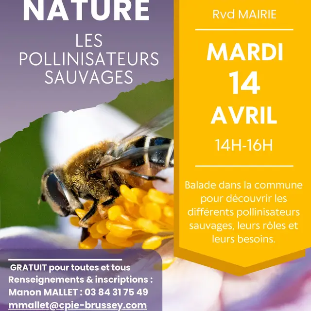 Pollinisateurs motey_page-0001