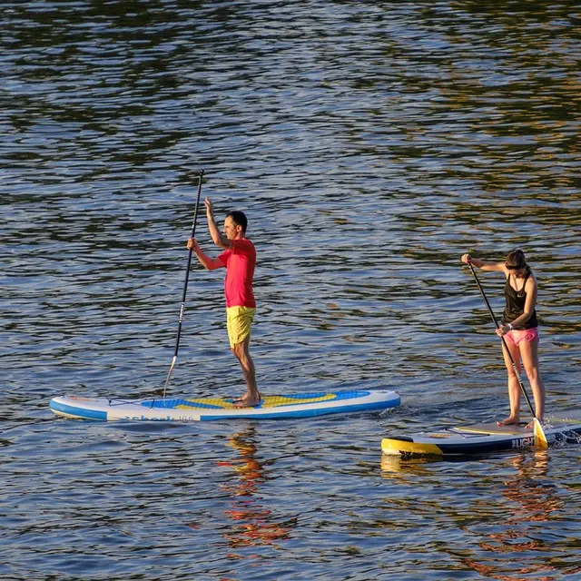 Paddle