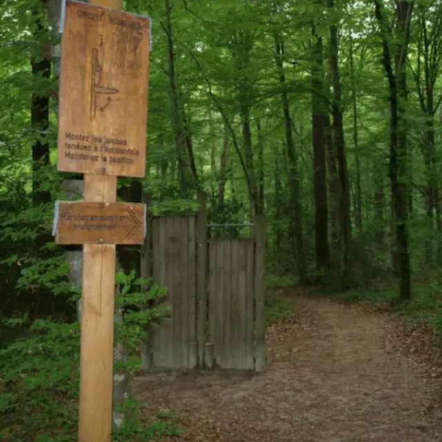 Parcours santé Chatenois