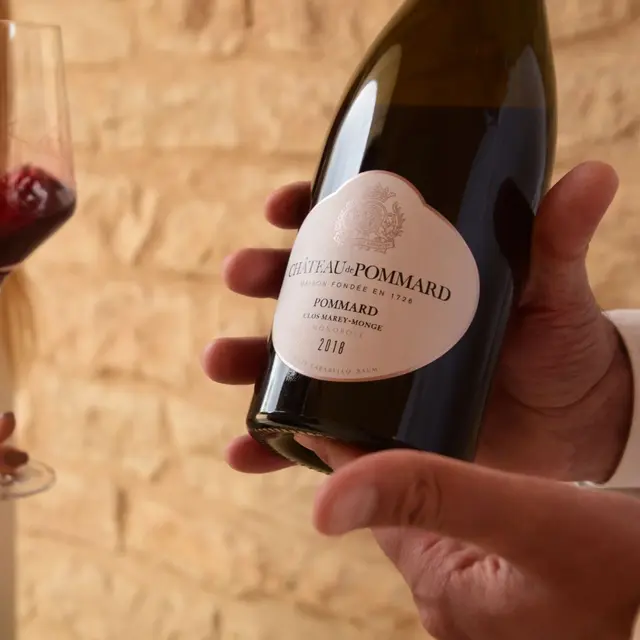 Domaine du Château de Pommard (Pommard) | Beaune and the Beaune