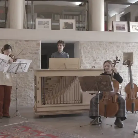 Photo Harmonia artificiosa