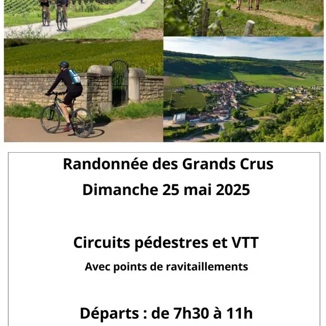 Randonnee-des-Grands-Crus DD
