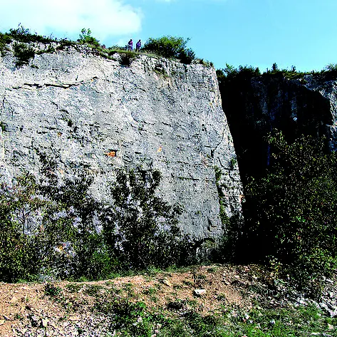 Remigny