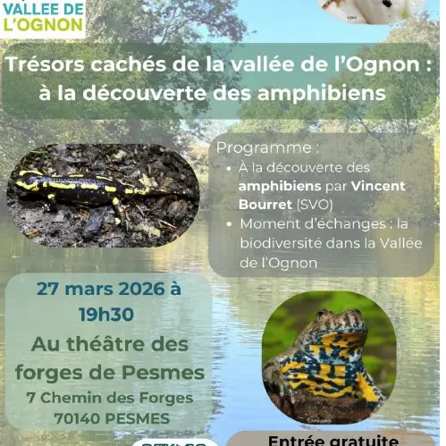 Trésors cachés de la Vallée de l'Ognon à la découverte des amphibiens