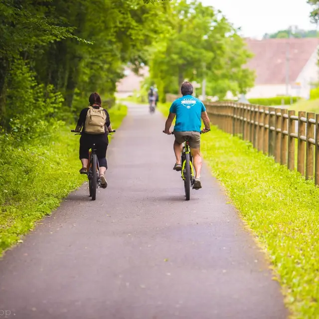 Location de vélo