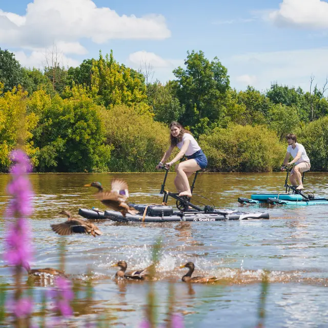 Water bike