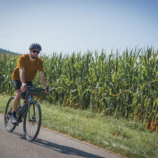 VVS-TRANSVERSAL-TraceduCourlis-HQ-1