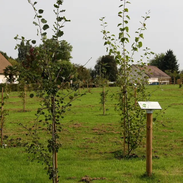Varennes le Grand - Jardin des Pas Enchantés - 2013 (