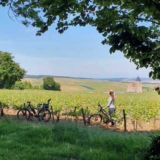 Vélo vignes panorama