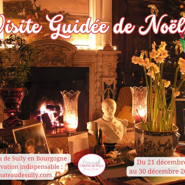 Visite Guidée du Château à Noël
