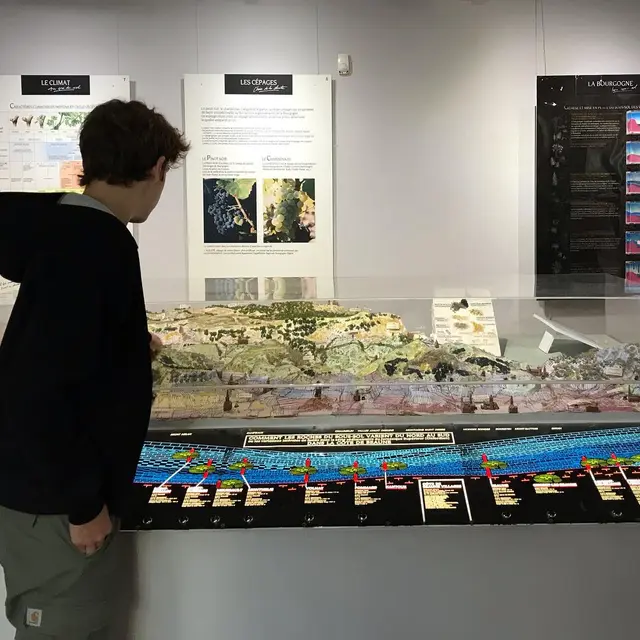 Visite guidée : Histoire des noms des Climats