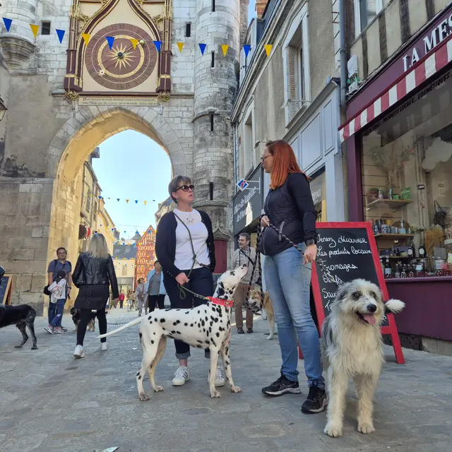 Visite canine©Sarah_Preston