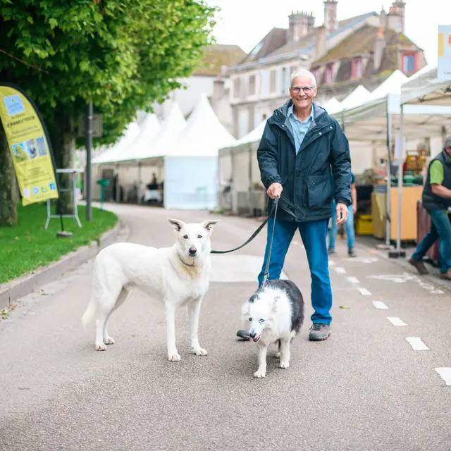 Visite chien