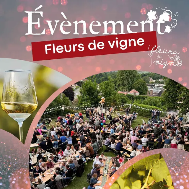 Visuel Fleurs de vigne