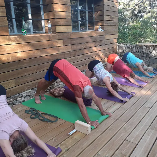 Yoga - connaitres les postures