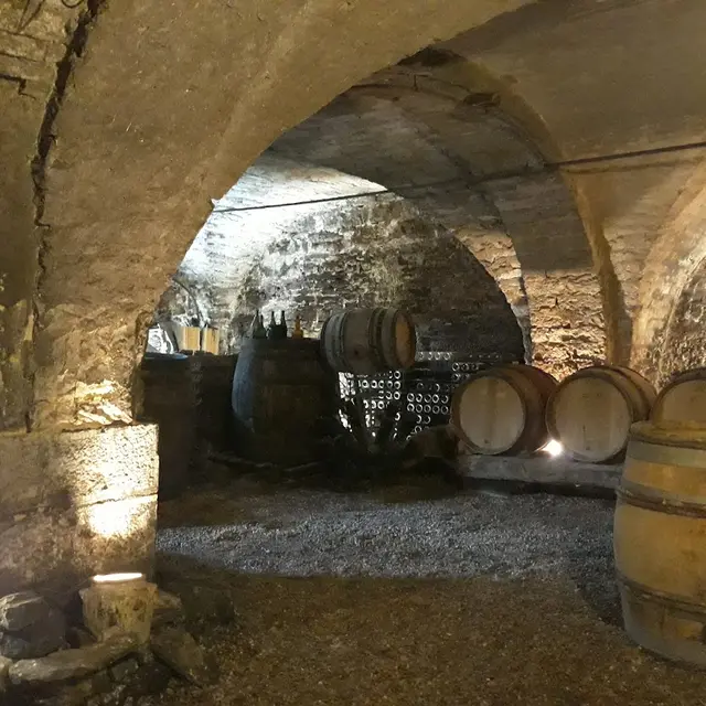 cave et tonneaux 2021