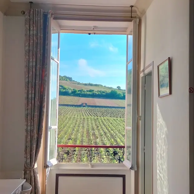 chambre vigneronne Santenay