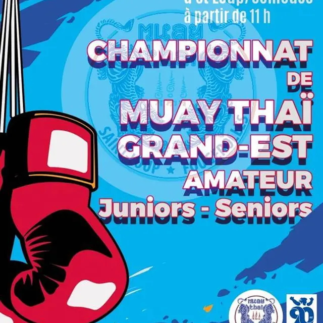 championnat box