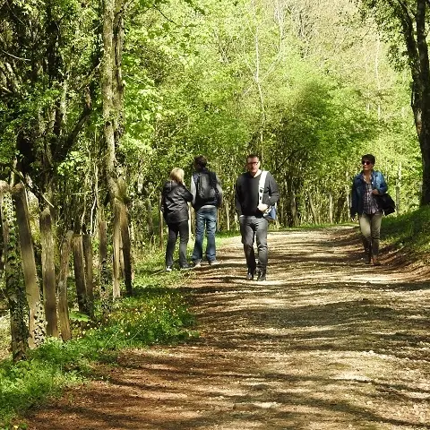 Cita chemin de randonnée