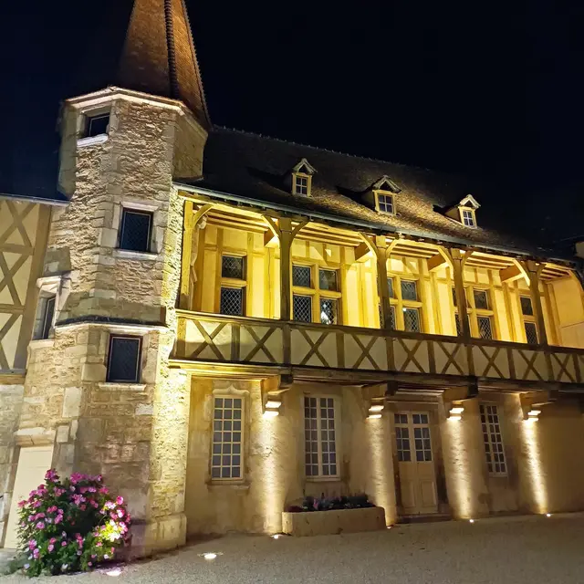 Cinéma nocturne au musée du Vin