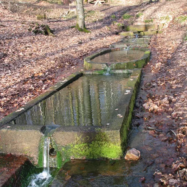 circuit du Haut Bois