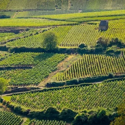climats
