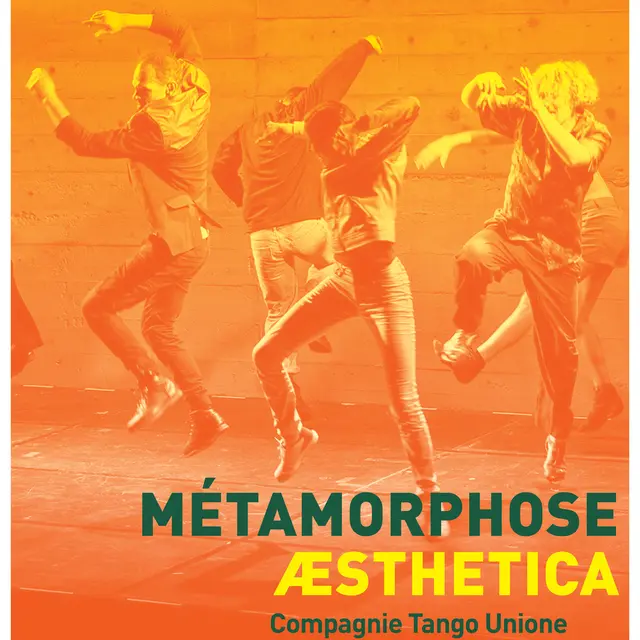 affiche A3 Métamorphose Aesthetica